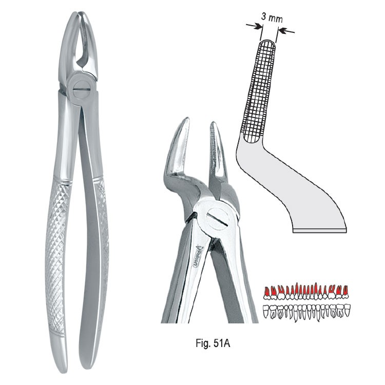 Extraction forceps European pattern fig. 51A