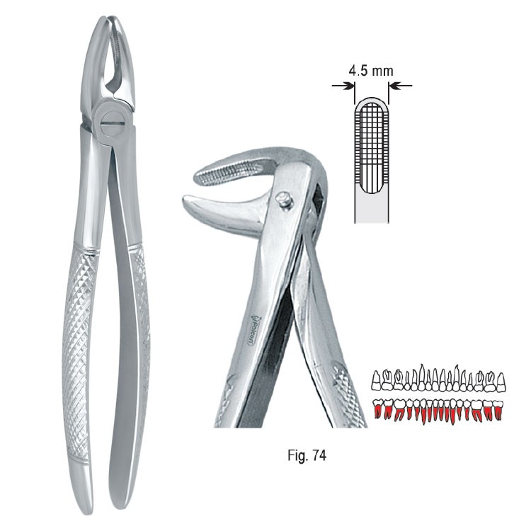 Extraction forceps European pattern fig. 74