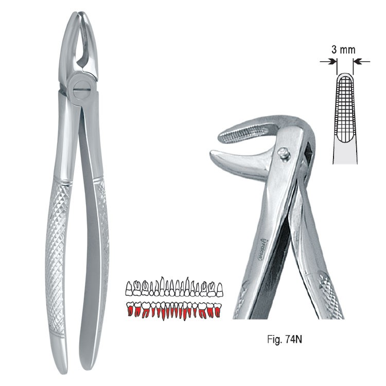 Extraction forceps European pattern fig. 74N