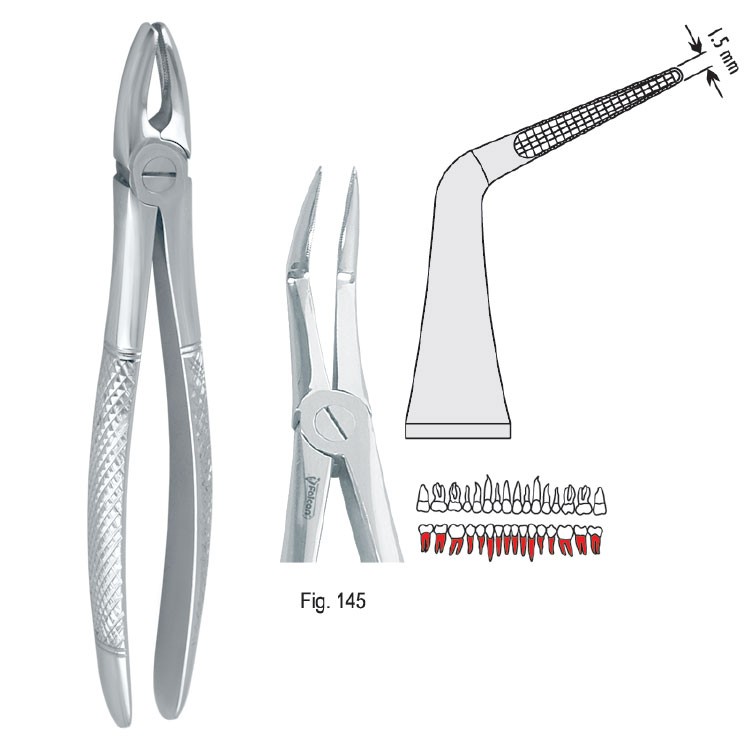 Extraction forceps European pattern fig. 145