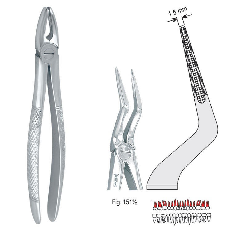 Extraction forceps European pattern fig. 151 1/2