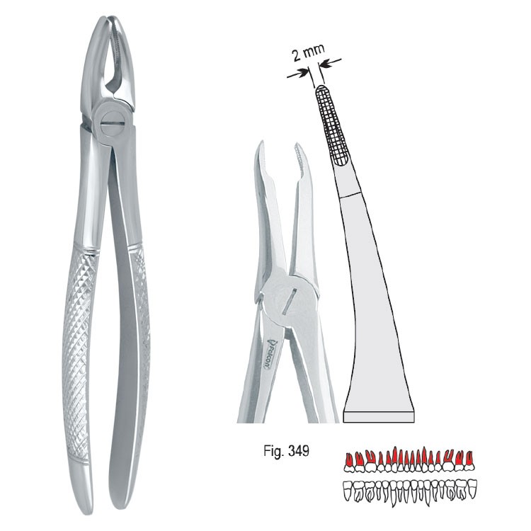 Extraction forceps European pattern fig. 349