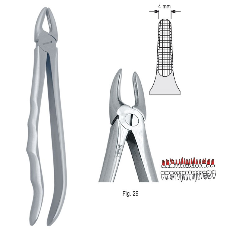 Extraction forceps with anatomical handle fig. 29
