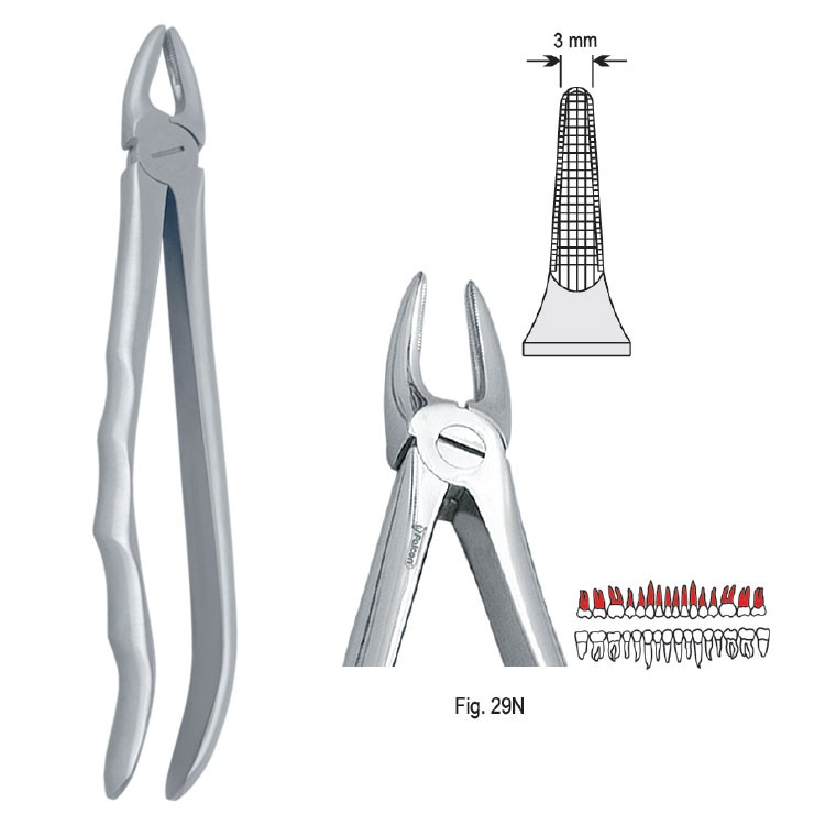 Extraction forceps with anatomical handle fig. 29N