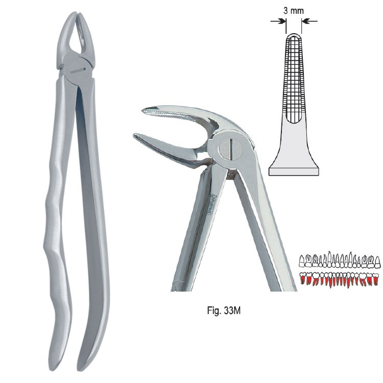 Extraction forceps with anatomical handle fig. 33M