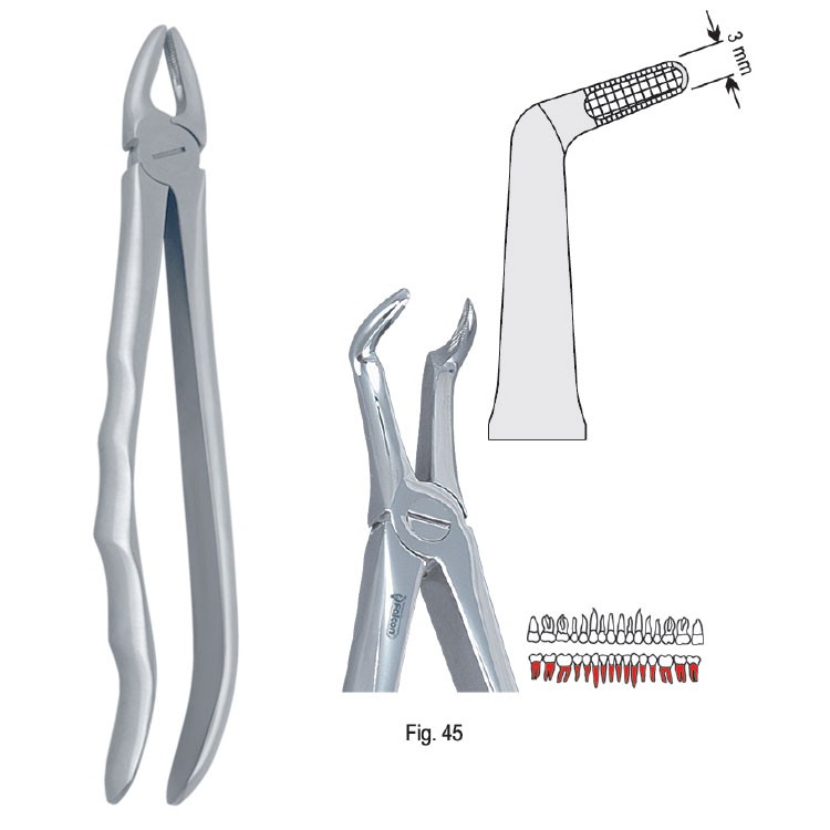Extraction forceps with anatomical handle fig. 45