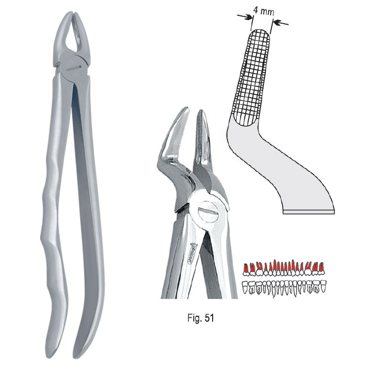 Extraction forceps with anatomical handle fig. 51A
