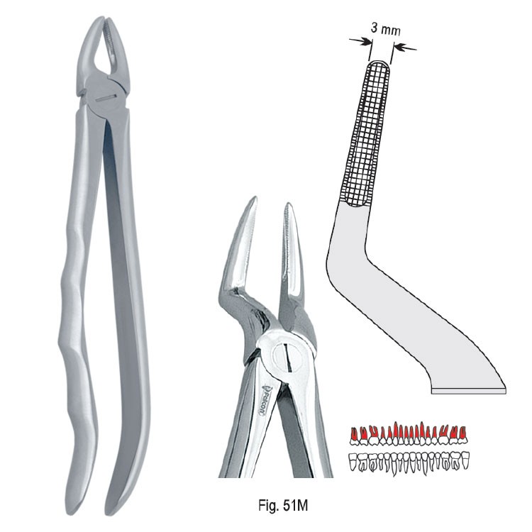 Extraction forceps with anatomical handle fig. 51M