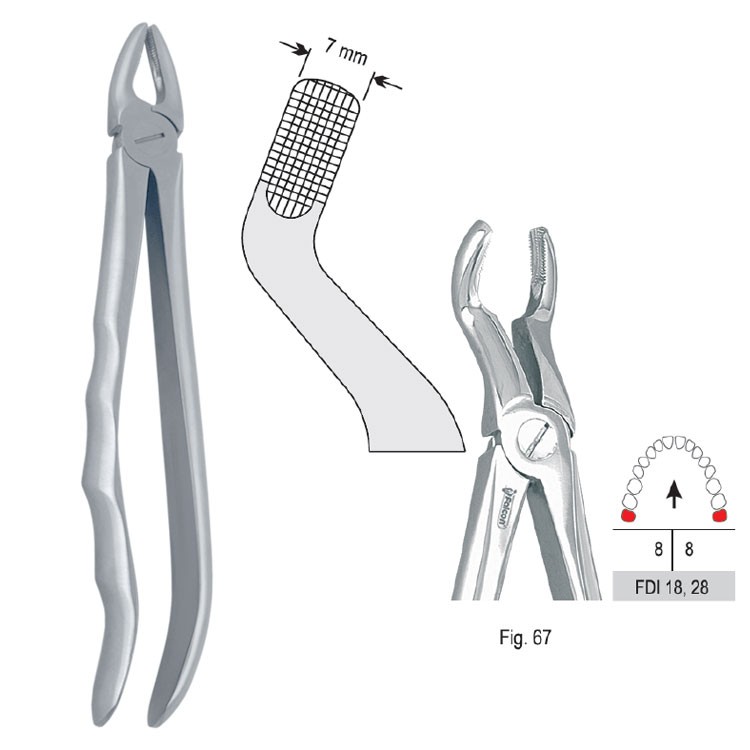 Extraction forceps with anatomical handle fig. 67