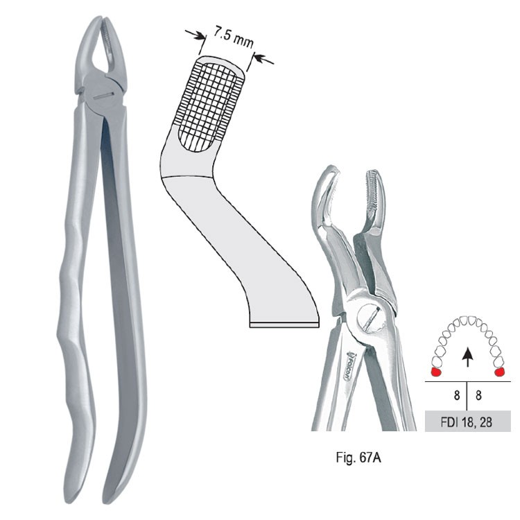 Extraction forceps with anatomical handle fig. 67A