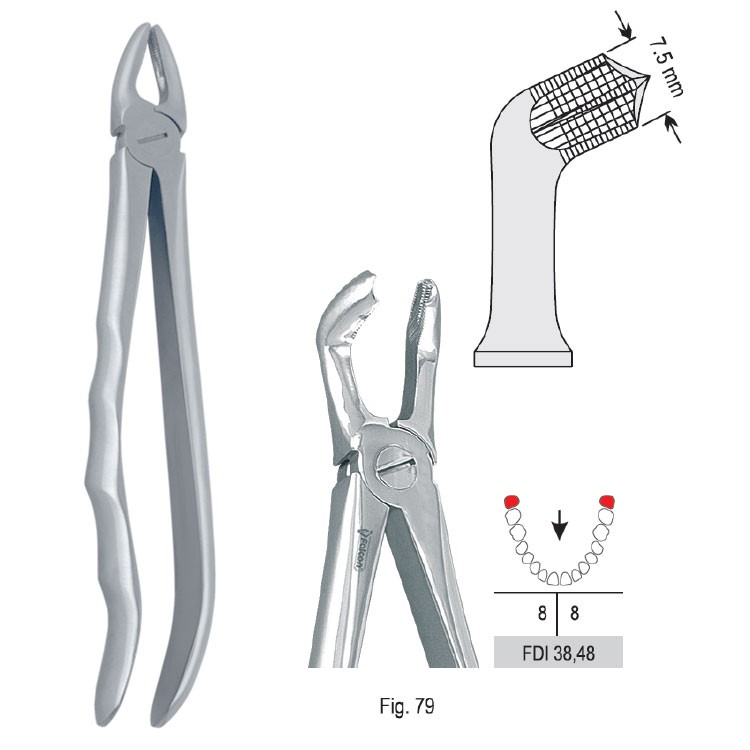 Extraction forceps with anatomical handle fig. 79