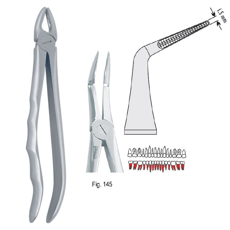 Extraction forceps with anatomical handle fig. 145