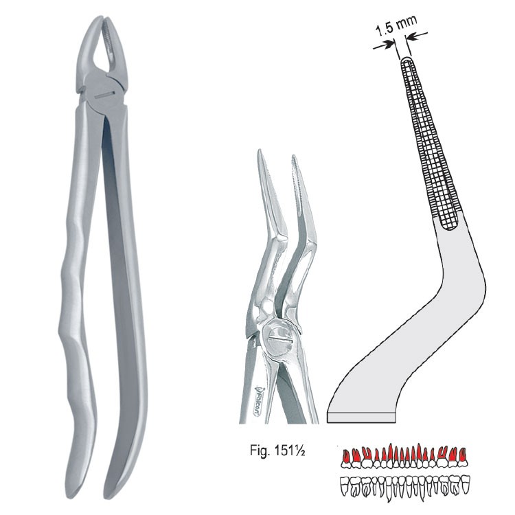 Extraction forceps with anatomical handle fig. 151 1/2