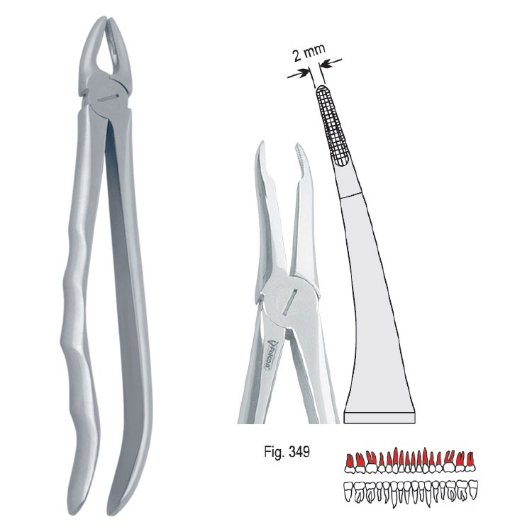 Extraction forceps with anatomical handle fig. 349
