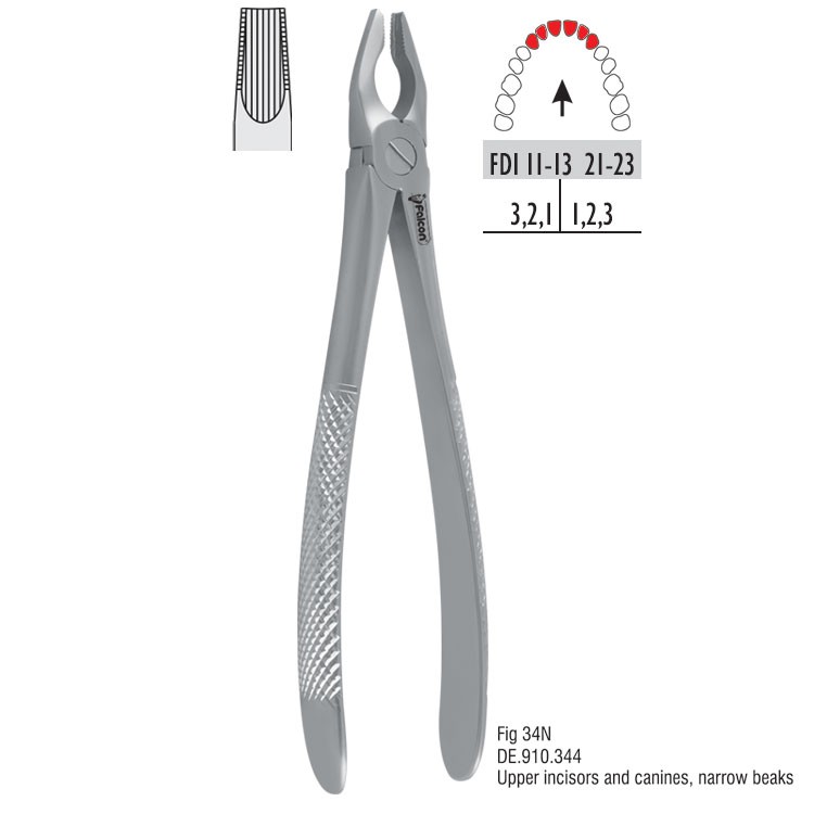 Atramatic extraction forceps tapered beaks fig. 34N