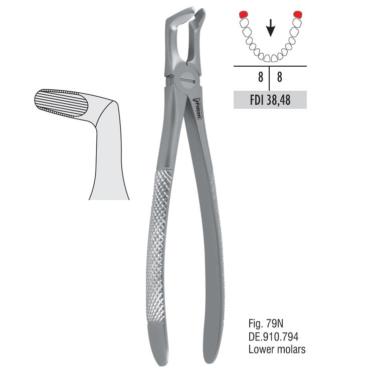 Atramatic extraction forceps tapered beaks fig. 79N