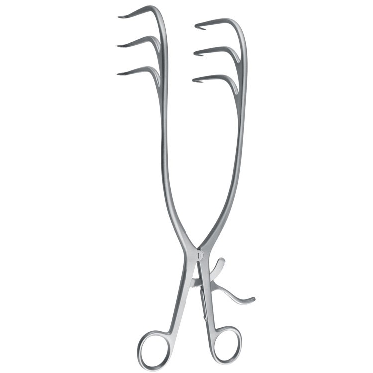 Retractor SR Gelpi-Scoliosis 3x3 prongs sharp 70x305mmm