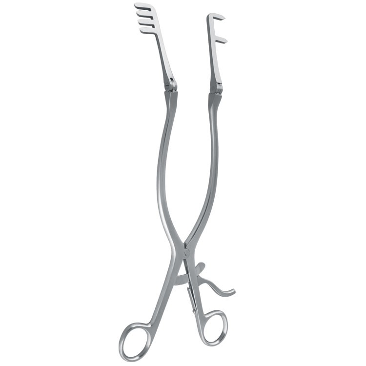 Retractor hip SR Sexton horizontal 4x2 prongs 310mmm