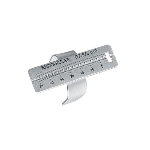[DZ.575.010] Endometer