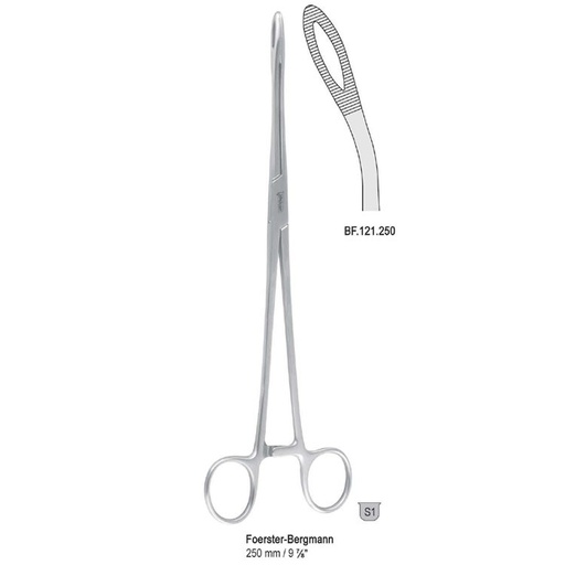 [BF.121.250] Forceps sponge Foerster-Bergmann curved 250mm