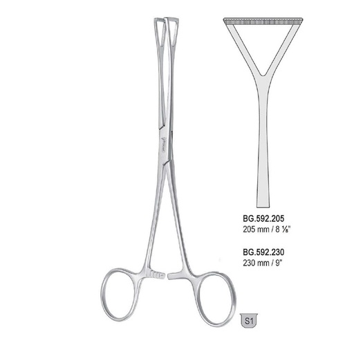 [BG.592.205] Forceps tissue Duval triangular jaws 205mm
