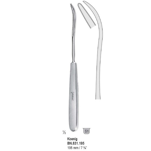 [BN.831.195] Guiding probe Koenig curved 195mm