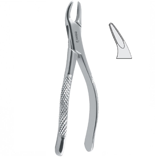 [DE.451.507] Extraction forceps children pattern serrated fig. 150S