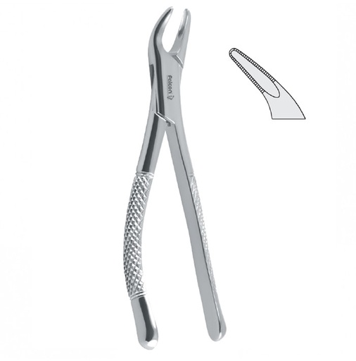 [DE.451.517] Extraction forceps children pattern serrated fig. 151S