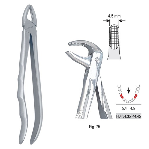 [DE.800.750] Extraction forceps with anatomical handle fig. 75