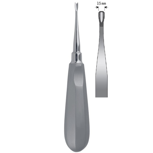 [DV.028.031] Elevator Falcon winged fig. 3