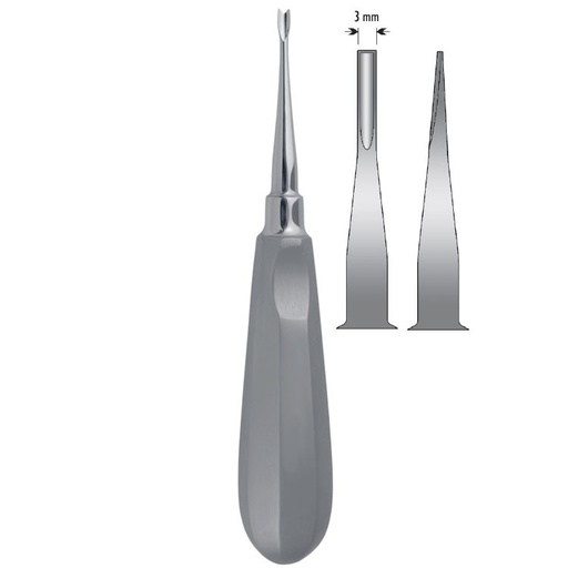 [DV.040.021] Elevator Coupland-Vet fig. 2
