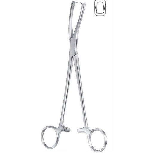 [GN.841.210] Forceps vulsellum Jacobs 2x2th sideways 210mm