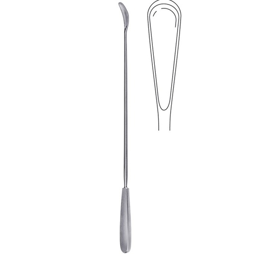 [GO.899.030] Scoop abortion Wallich fig.3, 420mm