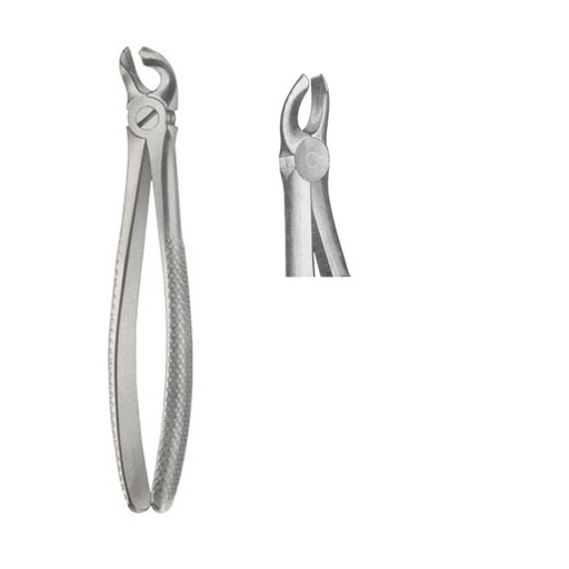 [DE.700.950] Extraction forceps English pattern fig. 95
