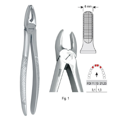 [DE.750.010] Extraction forceps European pattern fig. 1