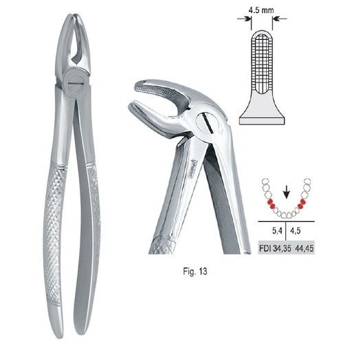 [DE.750.130] Extraction forceps European pattern fig. 13