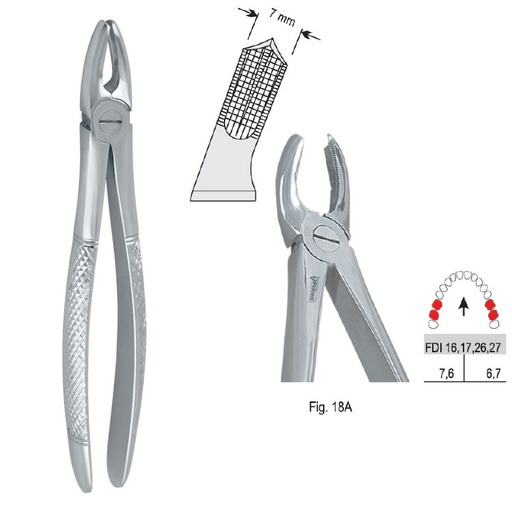 [DE.750.181] Extraction forceps European pattern fig. 18A