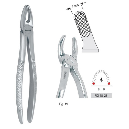 [DE.750.190] Extraction forceps European pattern fig. 19