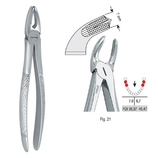 [DE.750.210] Extraction forceps European pattern fig. 21