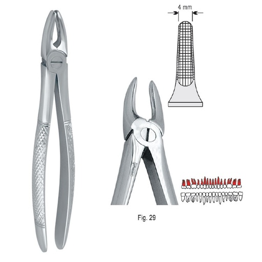 [DE.750.290] Extraction forceps European pattern fig. 29