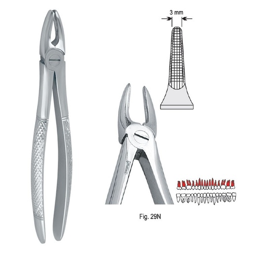 [DE.750.295] Extraction forceps European pattern fig. 29N