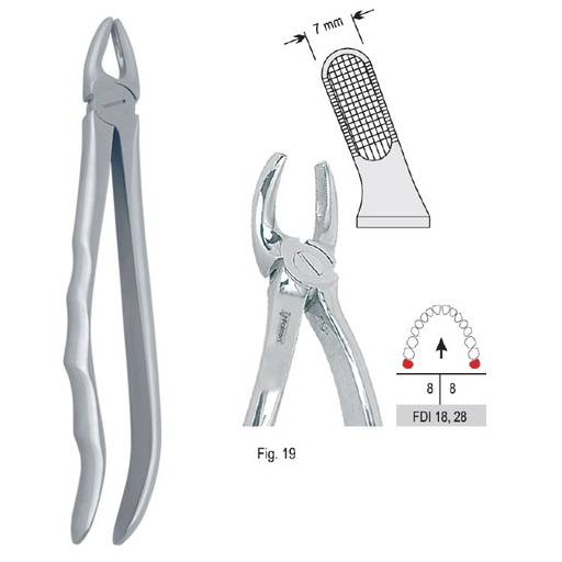 [DE.800.190] Extraction forceps with anatomical handle fig. 19