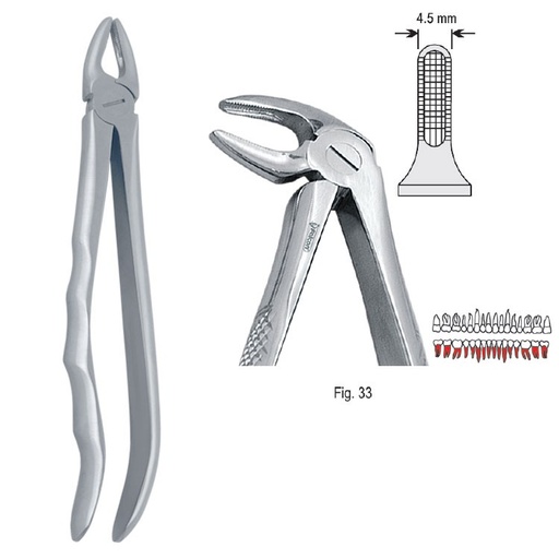 [DE.800.330] Extraction forceps with anatomical handle fig. 33