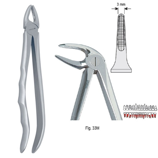 [DE.800.335] Extraction forceps with anatomical handle fig. 33M