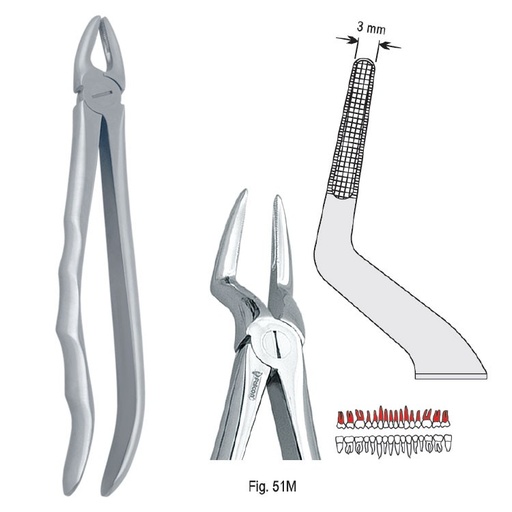 [DE.800.515] Extraction forceps with anatomical handle fig. 51M
