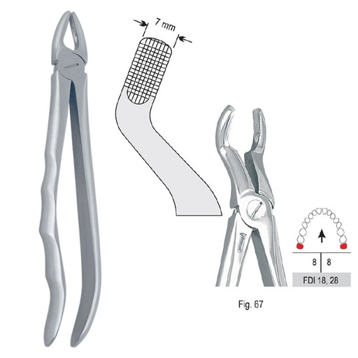 [DE.800.670] Extraction forceps with anatomical handle fig. 67