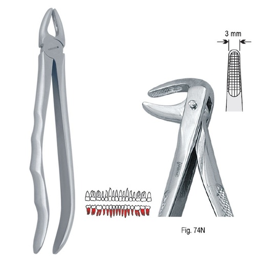 [DE.800.743] Extraction forceps with anatomical handle fig. 74N