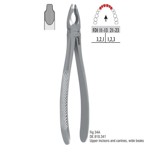 [DE.910.341] Atramatic extraction forceps notched beaks fig. 34A