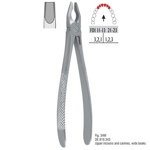 [DE.910.343] Atramatic extraction forceps tapered beaks fig. 34M