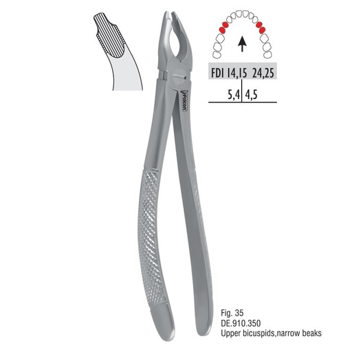 [DE.910.350] Atramatic extraction forceps notched beaks fig. 35